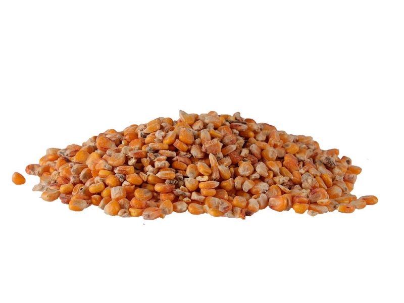 Kukuřice zrno - 25kg