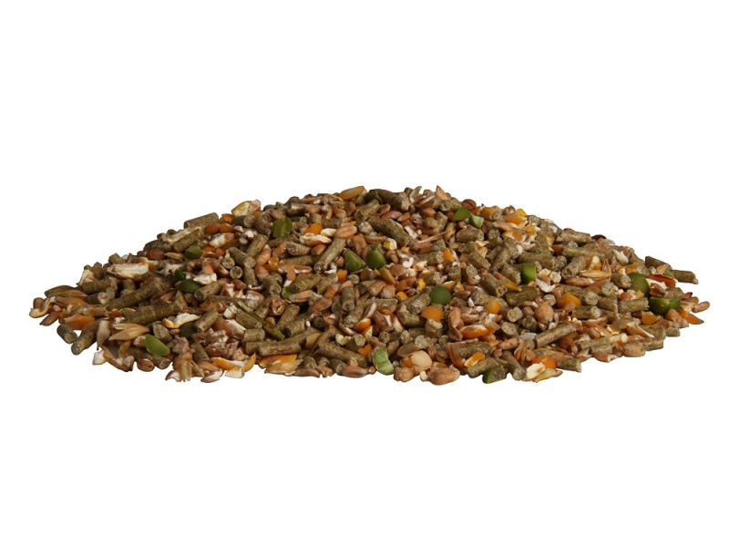 Nosnice Professional Müsli plemenné - 10kg